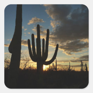 Adesivo Quadrado Paisagem do Deserto de Arizona Saguaro Sunset II