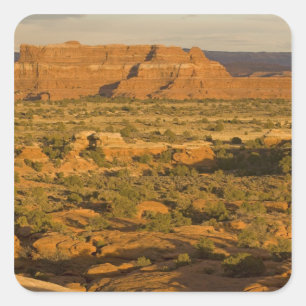 Adesivo Quadrado Paisagem do deserto de inverno cêntrico a caminho