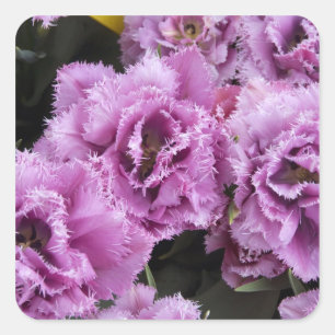 Adesivo Quadrado Países Baixos (também conhecidos por Holland), L