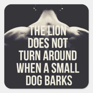 Adesivo Quadrado Palavras Motivacionais - O Leão Não Roda
