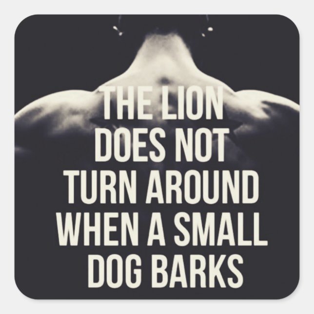 Adesivo Quadrado Palavras Motivacionais - O Leão Não Roda (Frente)