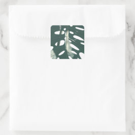 Adesivo Quadrado Pale Green Pastel Swiss Cheese Plant