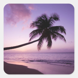 Adesivo Quadrado Palmeira solitária ao pôr do sol, praia de Coconut