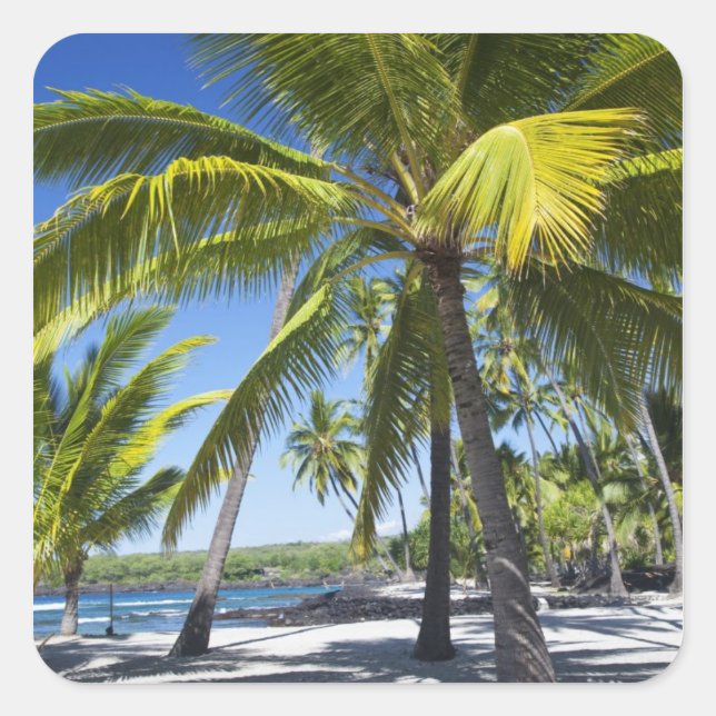 Adesivo Quadrado Palmeiras, Parque Histórico Nacional Pu'uhonua o (Frente)