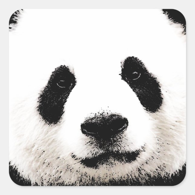 Adesivo Quadrado Panda (Frente)