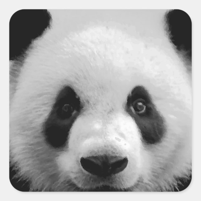 Adesivo Quadrado Panda (Frente)