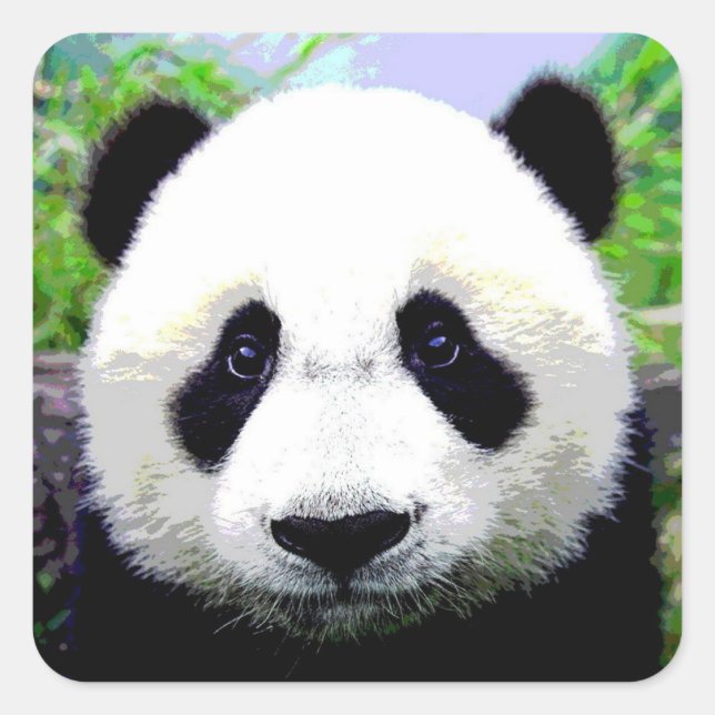 Adesivo Quadrado Panda Bear (Frente)
