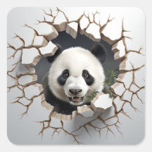 Panda Cracking Buraco Arte Panda Muralha Esmagada 