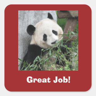 Adesivo Quadrado Panda Gigante, Professor, Muito Bem!
