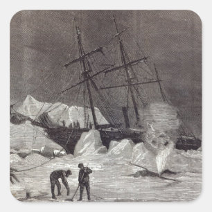 Adesivo Quadrado Pandora beliscou no gelo