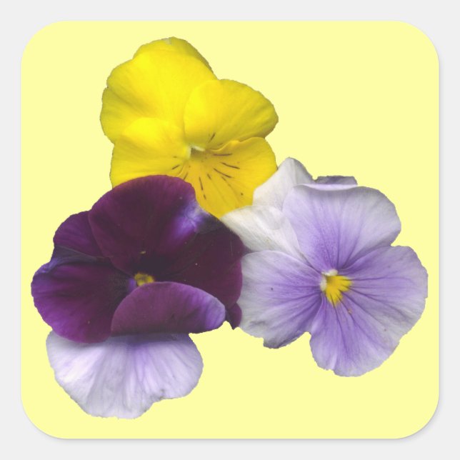 Adesivo Quadrado Pansies Stickers (Frente)