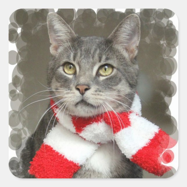 Adesivo Quadrado Papai noel Helper Cat Sticker (Frente)