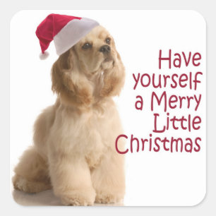 Adesivo Quadrado Papais noeis