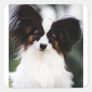 Adesivo Quadrado Papillon 2