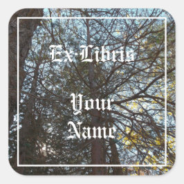 Adesivo Quadrado Para Cima através do Cartaz das Ramificações