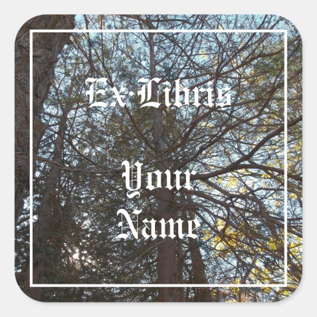 Adesivo Quadrado Para Cima através do Cartaz das Ramificações (Frente)