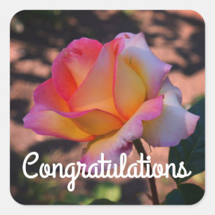 Adesivo Quadrado Parabéns Elle Rosa nº 1