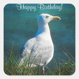 Adesivo Quadrado Parabéns, Seagull Square Stickers