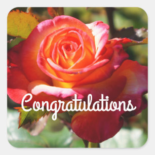 Adesivo Quadrado Parabéns Sonham Com Rosa Verdadeiro Nº 2