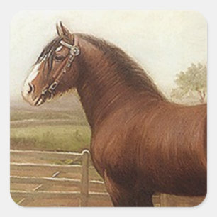 Adesivo Quadrado Parada antiga do cavalo de esboço de Clydesdale d