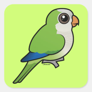 Adesivo Quadrado Parakeet da monge
