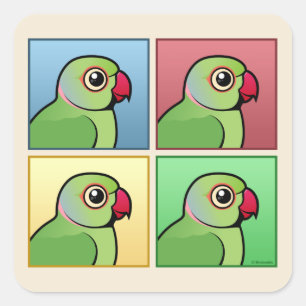 Adesivo Quadrado Parakeet Rosa-rodeado de quatro cores
