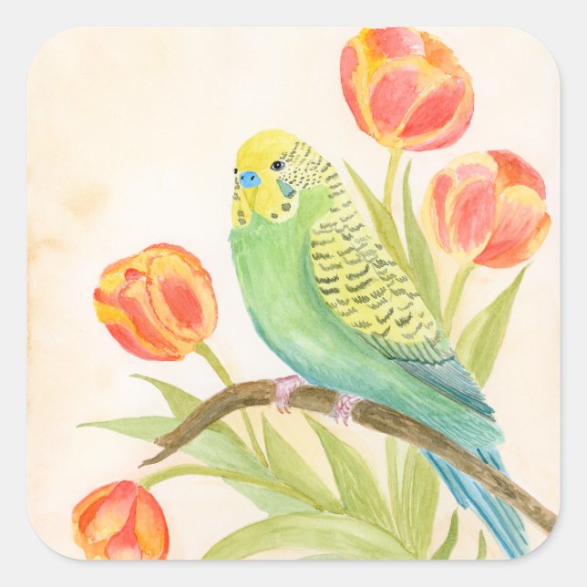 Adesivo Quadrado Parakeet with Tulips  (Frente)