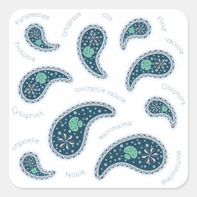 Adesivo Quadrado Paramecia Paisley Biology Science MIcrobe Dark (Frente)