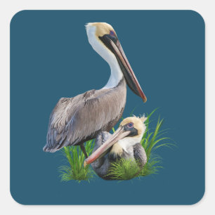 Adesivo Quadrado Pares de pelicanos de Brown, customizáveis