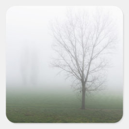Adesivo Quadrado Parque coberto de neblina espessa