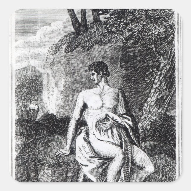 Adesivo Quadrado Parque Mungo na África (Frente)