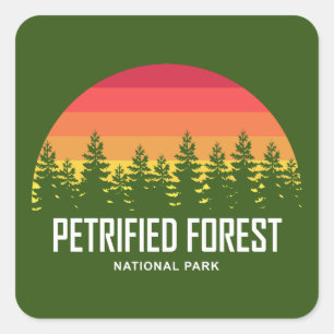 Adesivo Quadrado Parque Nacional da Floresta Petrificada