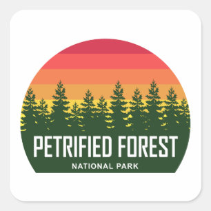 Adesivo Quadrado Parque Nacional da Floresta Petrificada
