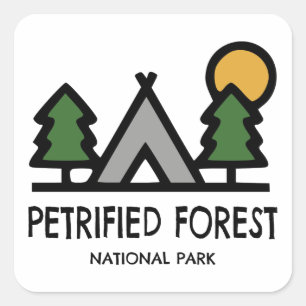 Adesivo Quadrado Parque Nacional da Floresta Petrificada