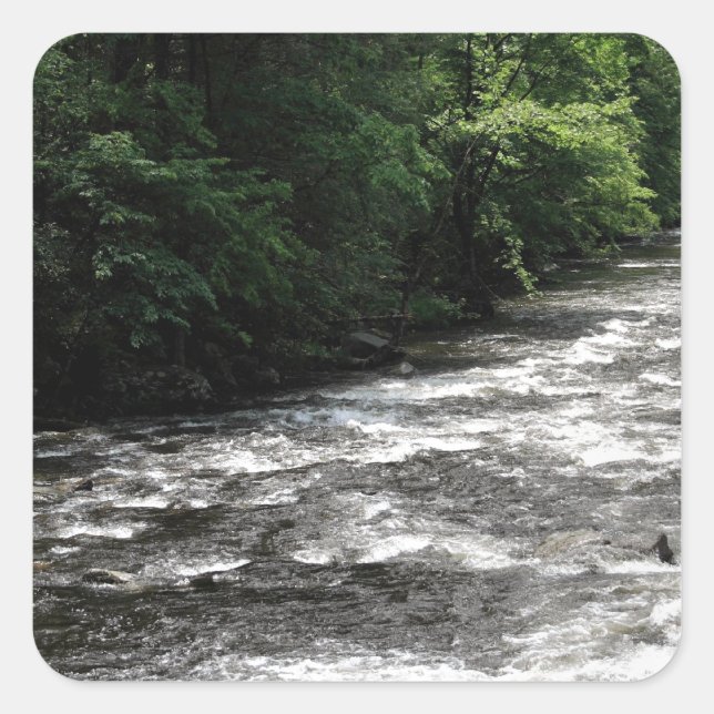 Adesivo Quadrado Parque Nacional das Montanhas do Enfumaçado excele (Frente)