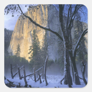 Adesivo Quadrado PARQUE NACIONAL DE YOSEMITE, CALIFÓRNIA. EUA. Luz