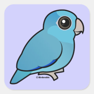 Adesivo Quadrado Parrotlet Pacífico Azul