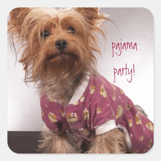 Adesivo Quadrado Partido Yorkie Pajama (Frente)