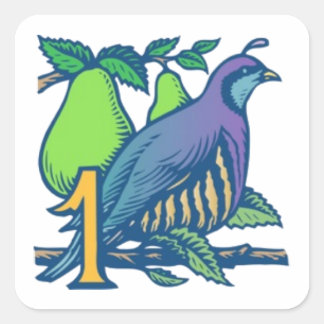 Adesivo Quadrado Partucho em uma árvore de pera