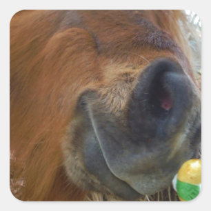 Adesivo Quadrado Páscoa Bunny e Cavalo Marrom