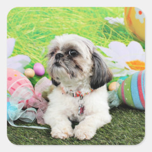 Adesivo Quadrado Páscoa - Shih Tzu - Sophie
