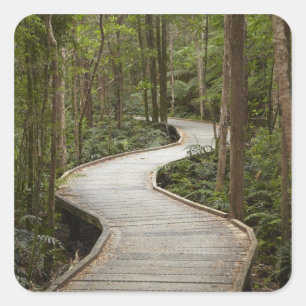 Adesivo Quadrado Passarela para Nelson Falls, Franklin - Gordon