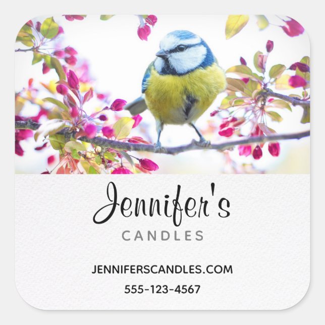 Adesivo Quadrado Pássaro Azul e Amarelo bonito em uma filial (Frente)