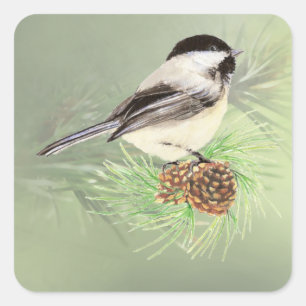 Adesivo Quadrado Pássaro bonito do Chickadee da aguarela no
