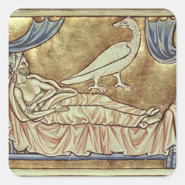 Adesivo Quadrado Pássaro Caladrius, repugnado a contar (Frente)