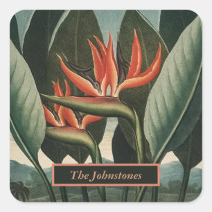 Adesivo Quadrado Pássaro do Templo Vintage do Paraíso com Nome