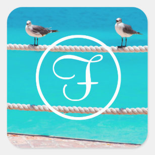 Adesivo Quadrado Pássaros de praia de Seagull fotografar monograma 