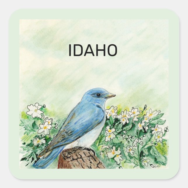 Adesivo Quadrado Pássaros e flores do estado de Idaho (Frente)