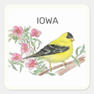 Adesivo Quadrado Pássaros e flores do Estado de Iowa