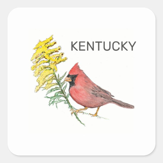 Adesivo Quadrado Pássaros e flores do estado do Kentucky (Frente)